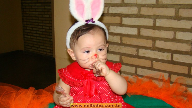Foto - DSC03682.JPG