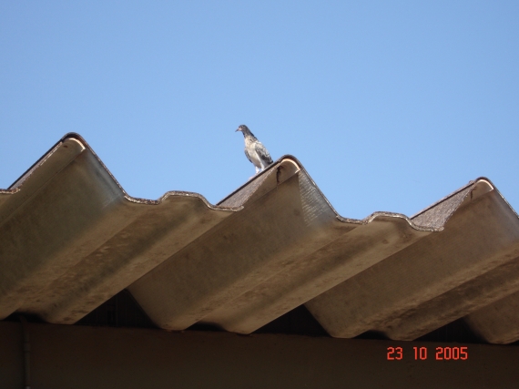 Foto - F14_030.jpg