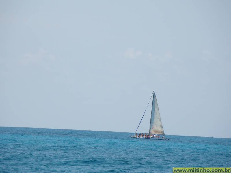 Foto - DSC05437.JPG