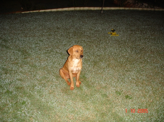 Foto - DSC01211.JPG