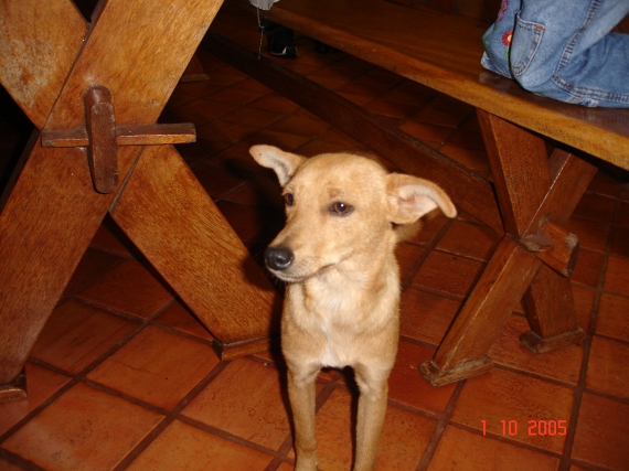 Foto - DSC01221.JPG
