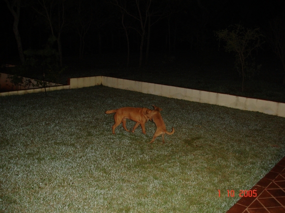 Foto - DSC01257.JPG