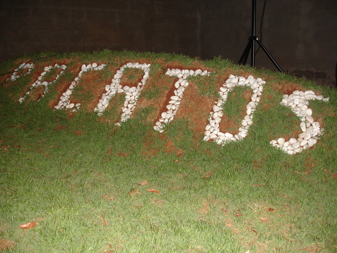 Foto - Pacatos001.JPG