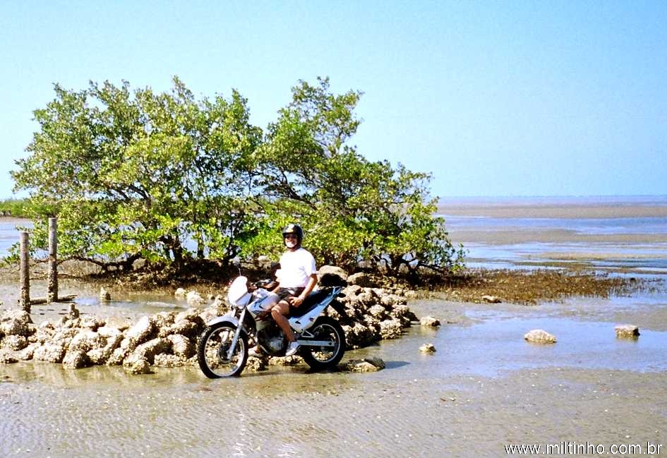 Foto - Ano_Novo_Luiz_Almeida.jpg