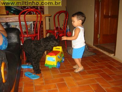 Foto - 07-04-2003-Murilo5.jpg