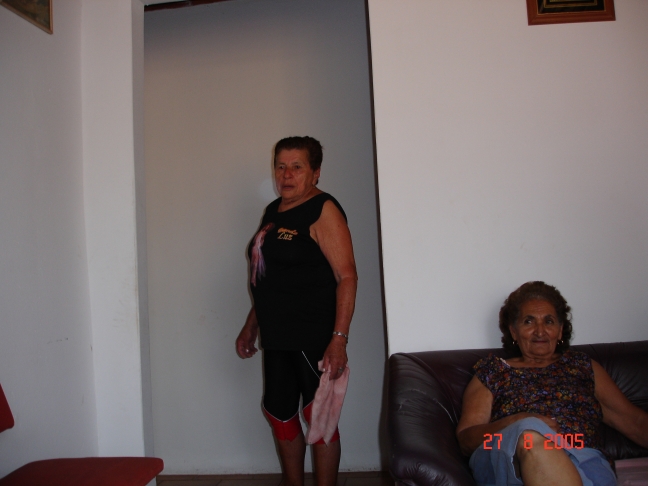 Foto - Palmeiras_(29).jpg