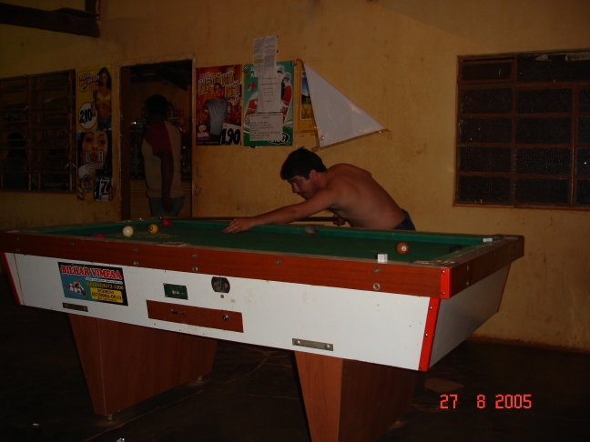 Foto - Palmeiras_(31).jpg