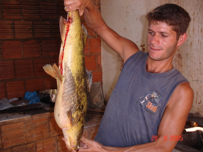 Foto - Palmeiras_(6).jpg